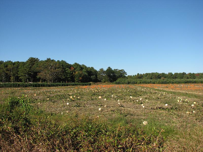 2008-10-11_Tiverton_Trustom 009.jpg